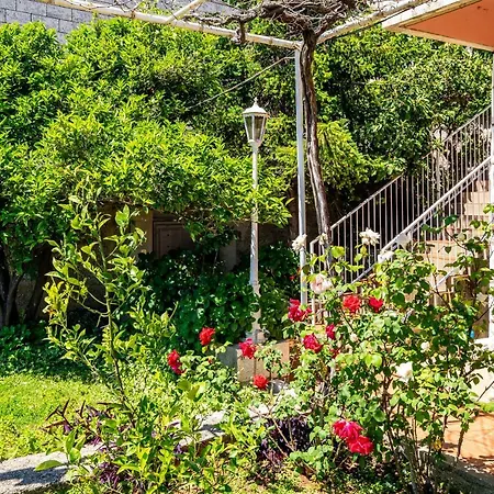 Konukevi Rose Dubrovnik
